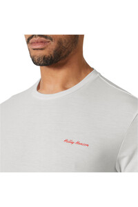 Helly Hansen camiseta montaña manga corta hombre SKOG GRAPHIC T-SHIRT vista detalle