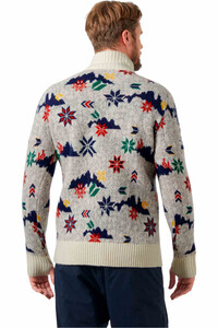 Helly Hansen jersey hombre ARCTIC ICELANDER 1/2 ZIP vista trasera