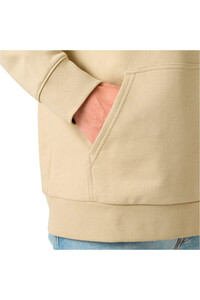 Helly Hansen sudadera hombre CORE GRAPHIC HOODIE vista detalle