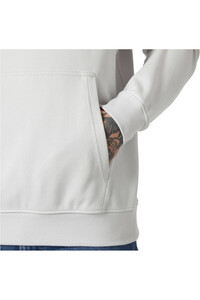 Helly Hansen sudadera hombre CORE GRAPHIC SWEAT HOODIE 03