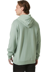 Helly Hansen sudadera hombre CORE GRAPHIC SWEAT HOODIE vista trasera