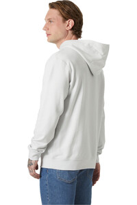 Helly Hansen sudadera hombre CORE GRAPHIC SWEAT HOODIE vista trasera