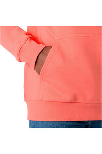 Helly Hansen sudadera hombre HH BOX HOODIE 03