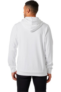 Helly Hansen sudadera hombre HH BOX HOODIE vista trasera