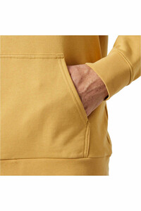 Helly Hansen sudadera hombre HH LOGO HOODIE 3.0 03