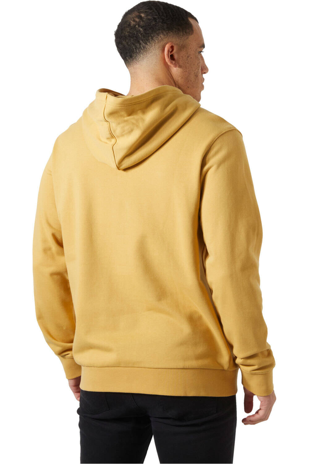 Helly Hansen sudadera hombre HH LOGO HOODIE 3.0 vista trasera