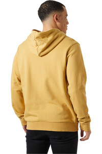 Helly Hansen sudadera hombre HH LOGO HOODIE 3.0 vista trasera