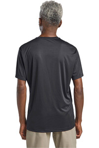 Jack Wolfskin camiseta montaña manga corta hombre TECH T M vista trasera