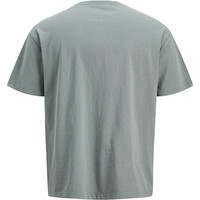 J&J camiseta manga corta hombre JPRBLULUCA SS TEE vista trasera