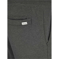 J&J pantalón hombre JPSTGORDON SHARK NOOS vista detalle