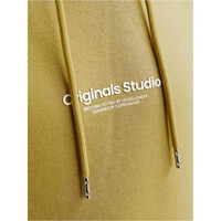 J&J sudadera hombre JORVESTERBRO SWEAT HOOD NOOS 03