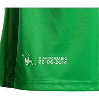 Joma camiseta de fútbol oficiales LEGANES 25 AWAY JERSEY VE 05