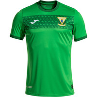 Joma camiseta de fútbol oficiales LEGANES 25 AWAY JERSEY VE vista frontal