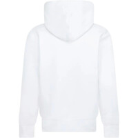 Jordan sudadera niño JDB MJ BROOKLYN FT PO vista trasera