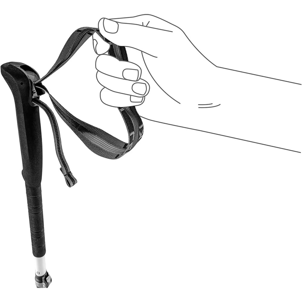 Leki Baston Trail SKYSOLO FX.ONE CARBON 05