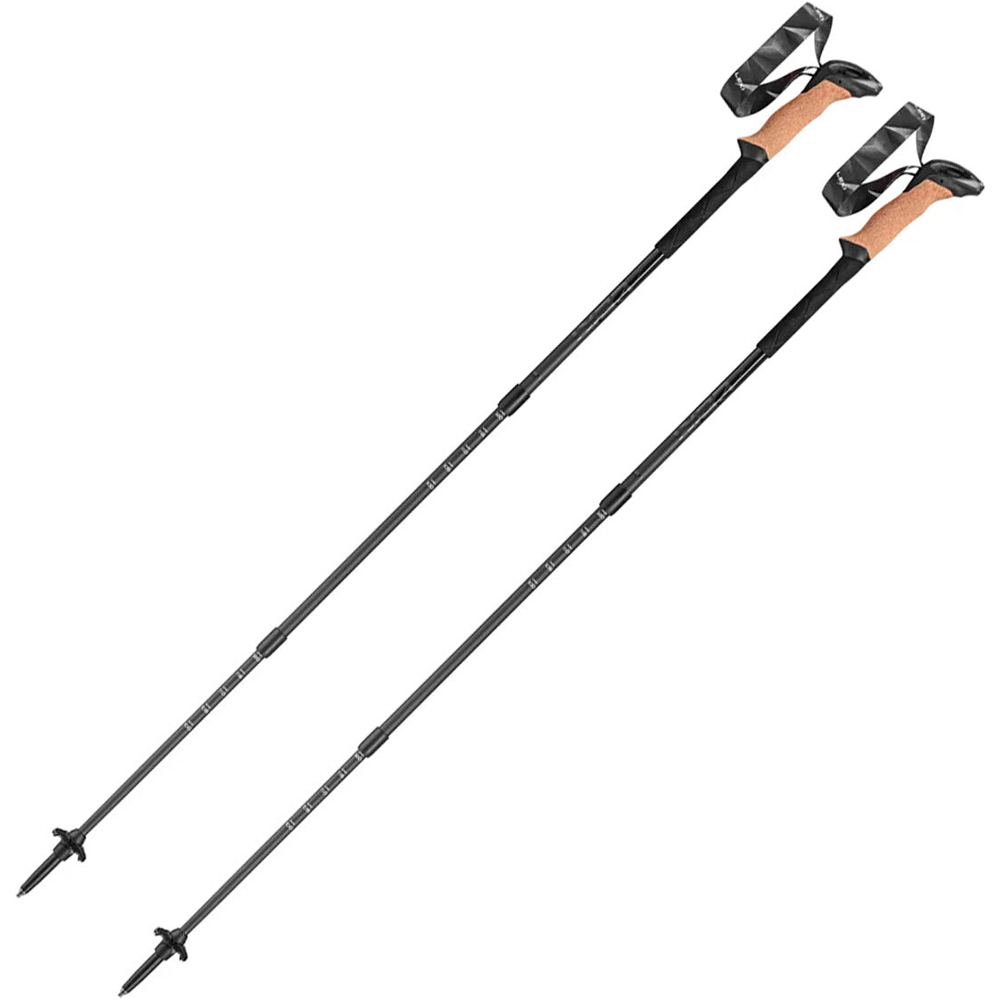 Leki bastón travesía montaña PAR-BLACK SERIES SLS XTG vista frontal