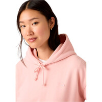 Levi'S sudadera mujer EVERYDAY HOODIE NEUTRALS vista detalle