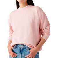 Levi'S sudadera mujer EVERYDAY SWEATSHIRT POTPOURRI vista detalle