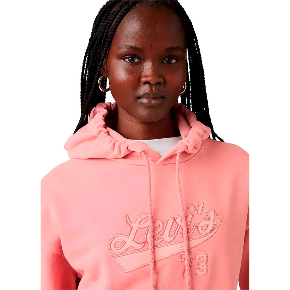 Levi'S sudadera mujer GRAPHIC HERITAGE HOODIE PINKS vista detalle