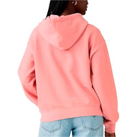 Levi'S sudadera mujer GRAPHIC HERITAGE HOODIE PINKS vista trasera