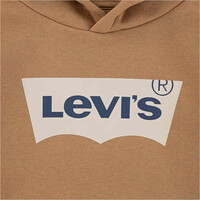 Levi'S sudadera niño LVB BATWING SCREENPRINT HOODIE vista detalle