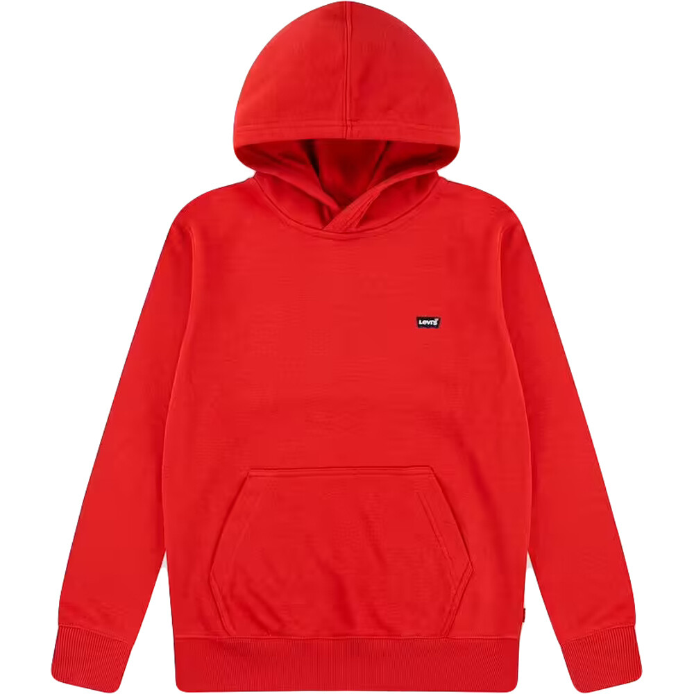 Levi'S sudadera niño LVB MINI BATWING PULL OVER HOO vista frontal