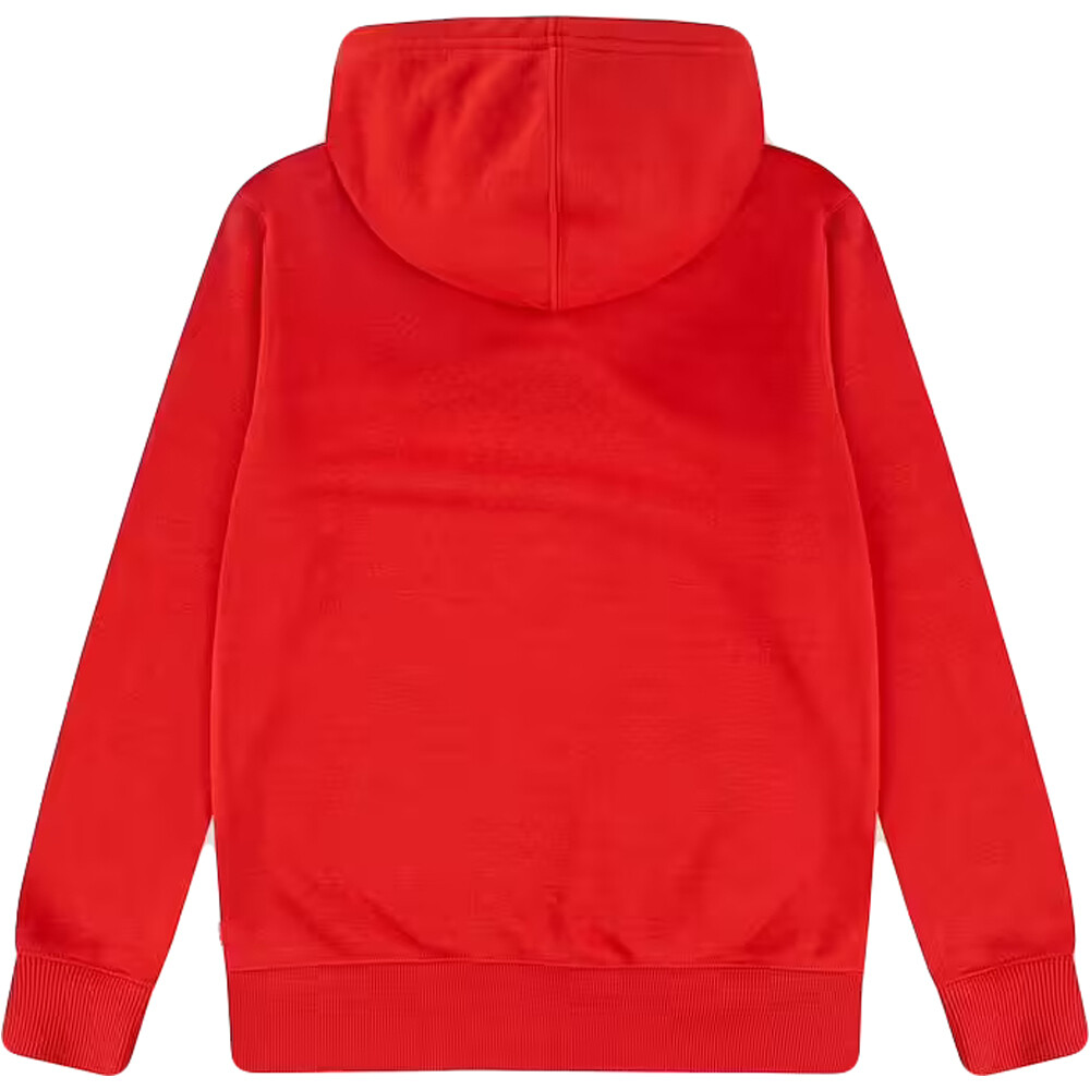 Levi'S sudadera niño LVB MINI BATWING PULL OVER HOO vista trasera