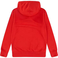 Levi'S sudadera niño LVB MINI BATWING PULL OVER HOO vista trasera