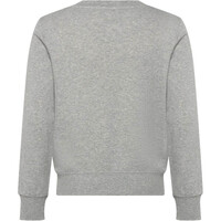 Levi'S sudadera niño LVB MINI LOGO CREWNECK SWEATSH vista trasera