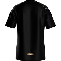 Mizuno camiseta técnica manga corta hombre Active DryAeroFlow Graphic Short Sleeve Tee vista trasera