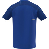 Mizuno camisetas trail running manga corta hombre Trail Graphic Short Sleeve Tee vista trasera