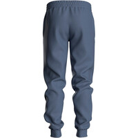 Mizuno pantalon fitness hombre Athletic  Joggers vista trasera
