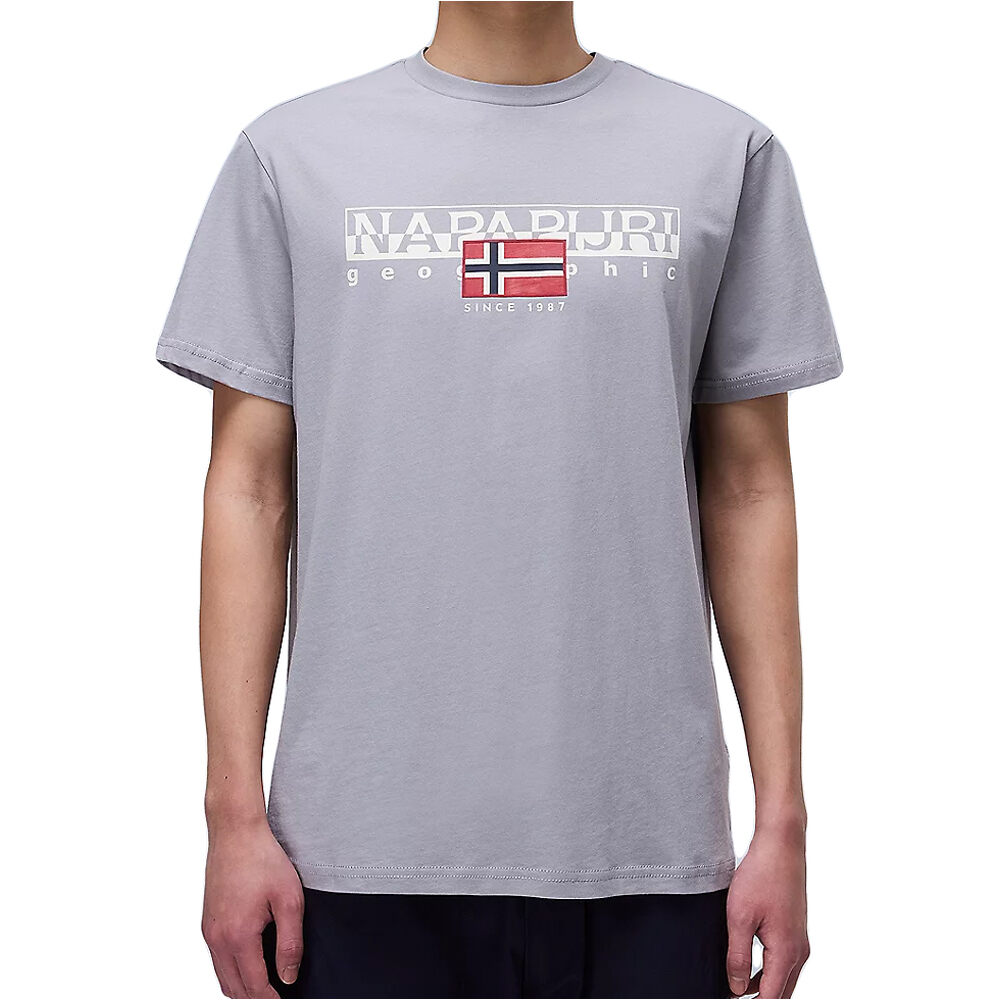 Napapijri camiseta manga corta hombre S-AYLMER vista frontal