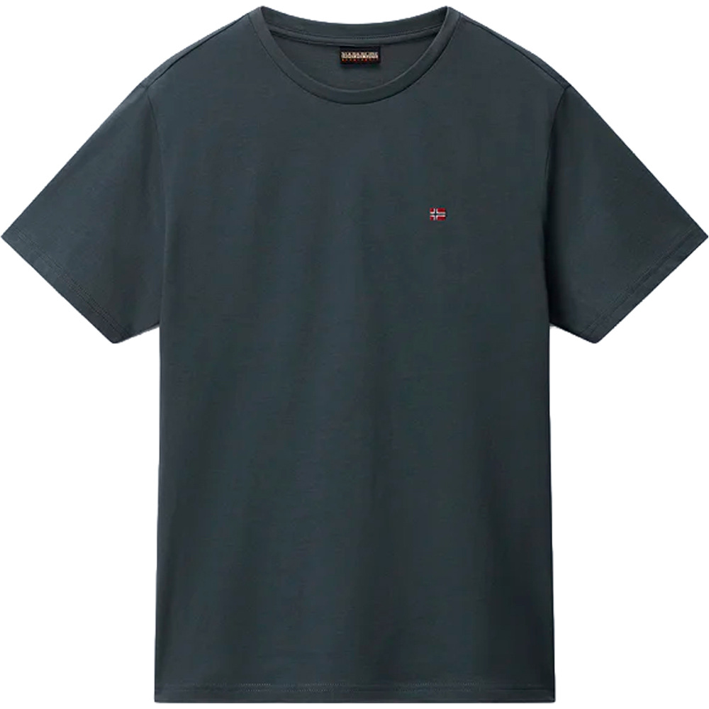 Napapijri camiseta manga corta hombre SALIS SS SUM 03
