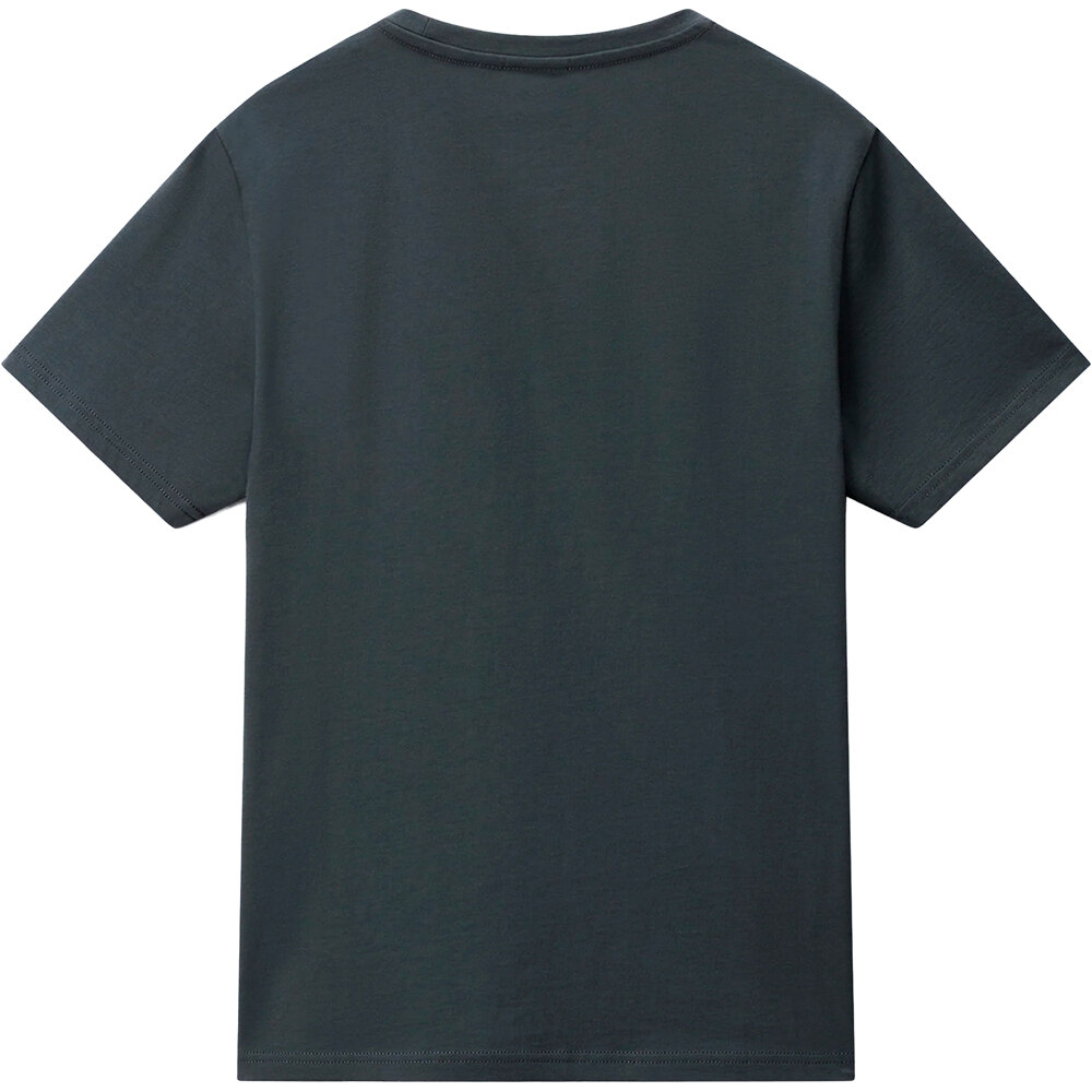 Napapijri camiseta manga corta hombre SALIS SS SUM 04