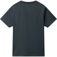 Napapijri camiseta manga corta hombre SALIS SS SUM 04