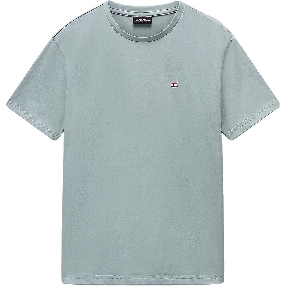 Napapijri camiseta manga corta hombre SALIS SS SUM vista detalle