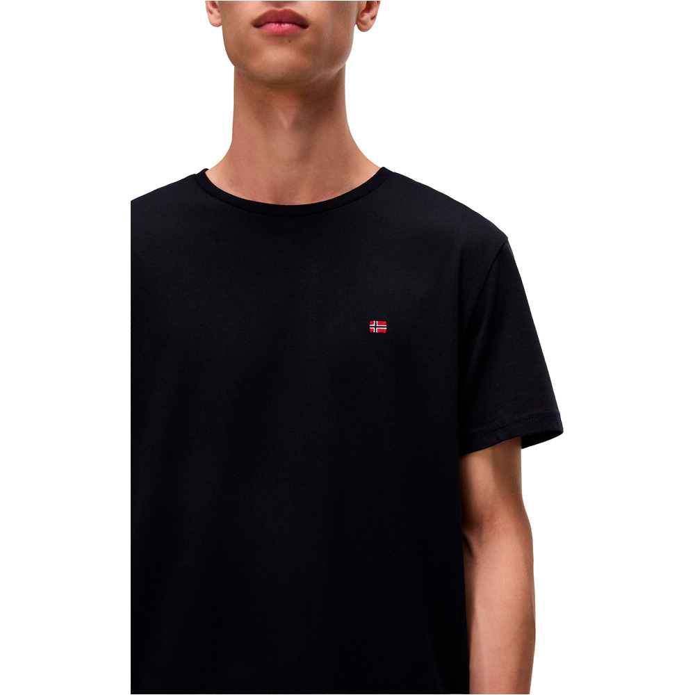 Napapijri camiseta manga corta hombre SALIS SS SUM vista detalle