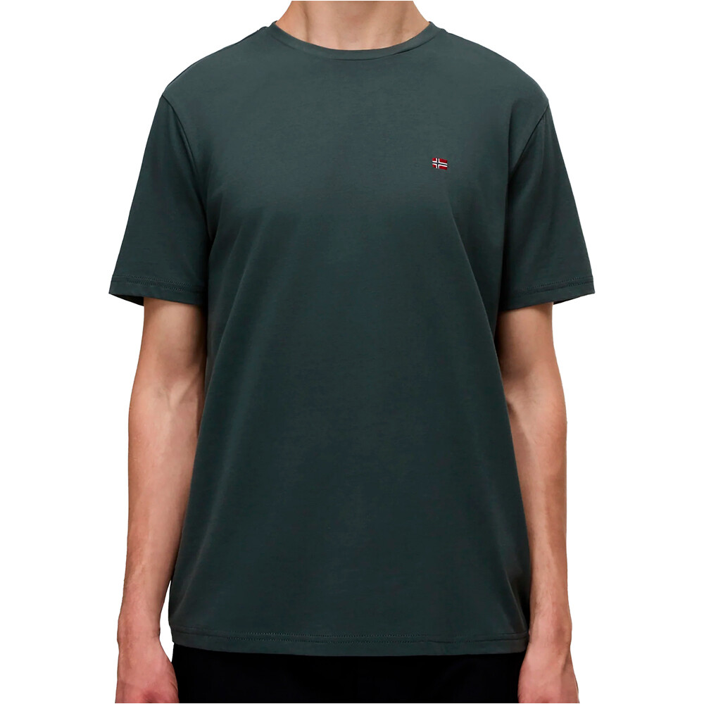 Napapijri camiseta manga corta hombre SALIS SS SUM vista frontal