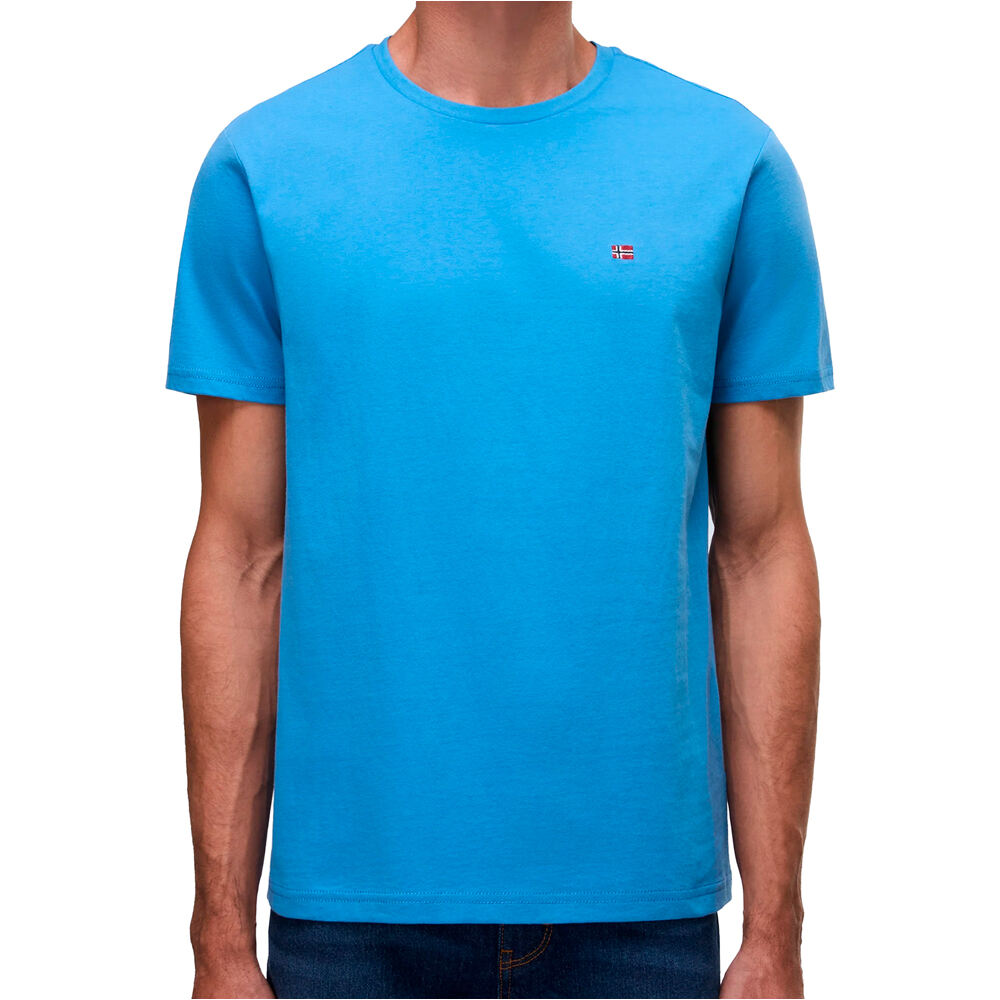 Napapijri camiseta manga corta hombre SALIS SS SUM vista frontal