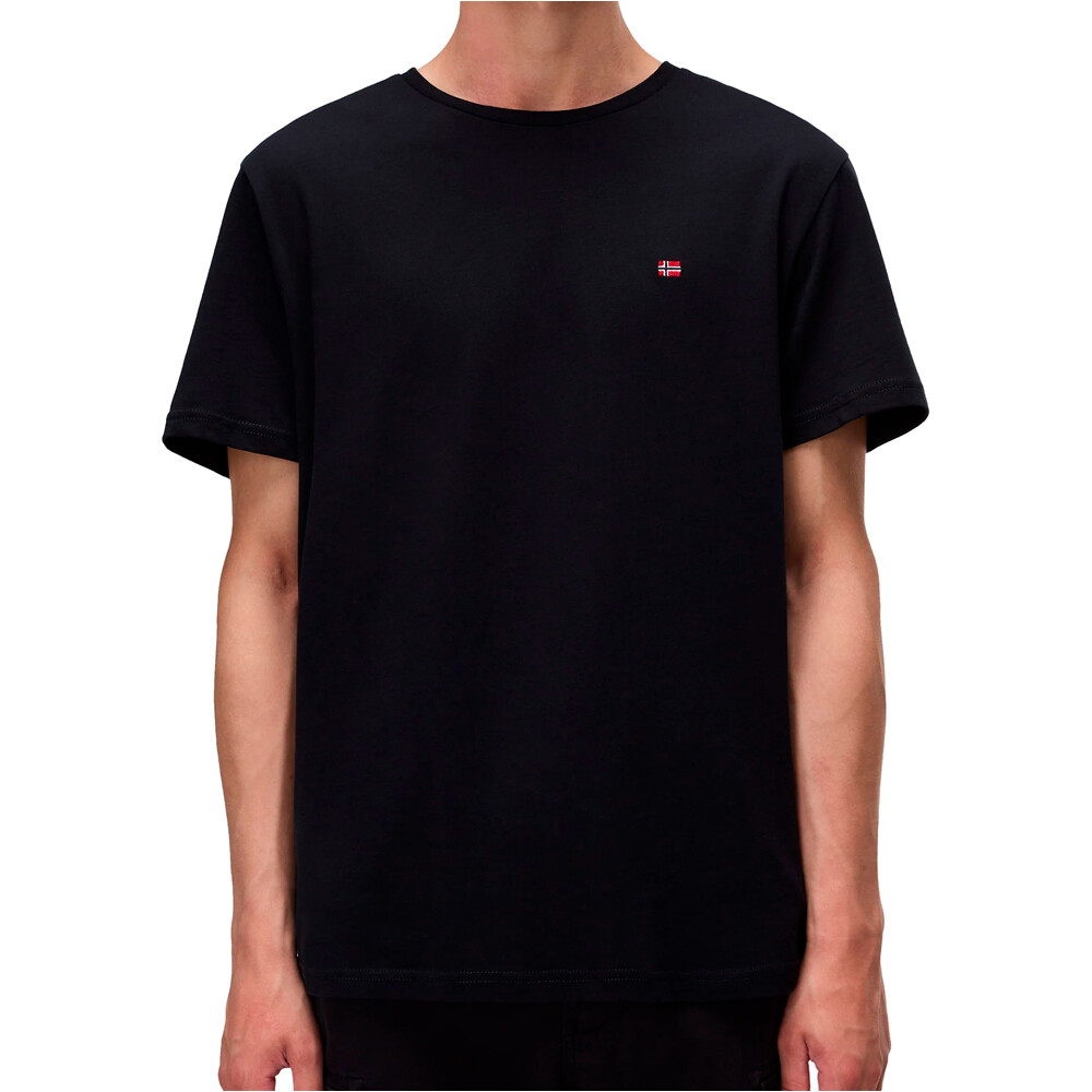 Napapijri camiseta manga corta hombre SALIS SS SUM vista frontal