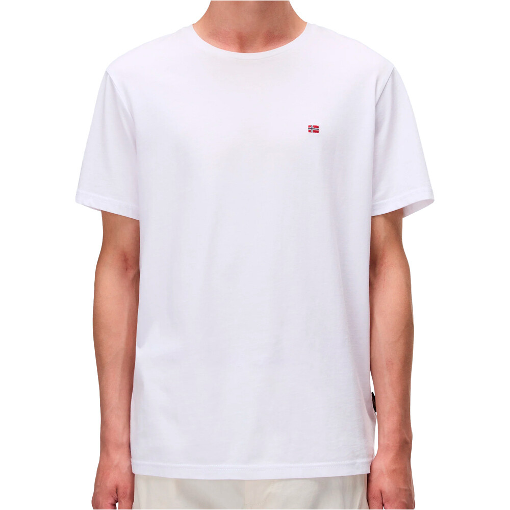 Napapijri camiseta manga corta hombre SALIS SS SUM vista frontal