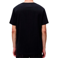 Napapijri camiseta manga corta hombre SALIS SS SUM vista trasera