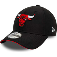CHICAGO BULLS