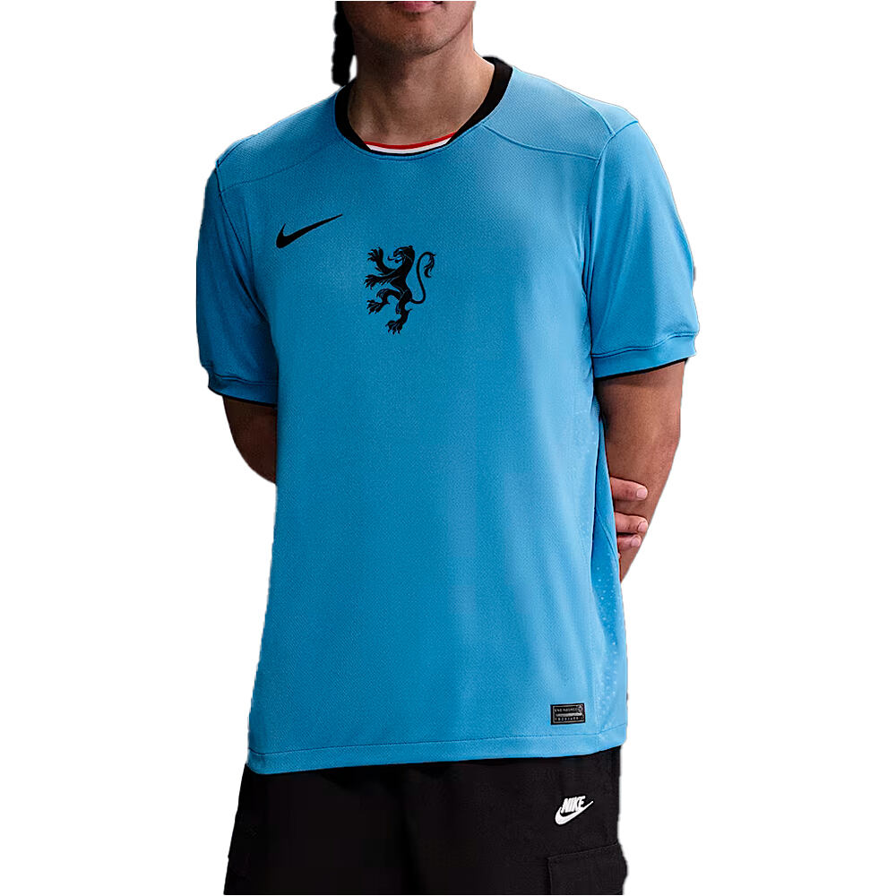 Nike camiseta de fútbol oficiales HOLANDA 25 M NK DF STAD JSY SS AW vista frontal