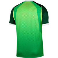 Nike camiseta de fútbol oficiales NIGERIA 26 M NK DF JSY SS STAD HM 06
