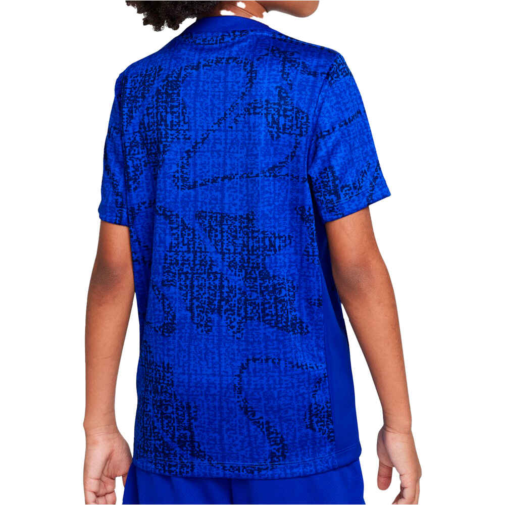 Nike camiseta entrenamiento niño FRANCIA 25 Y NK DF ACDPR SS TOP PM vista trasera