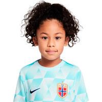 Nike camiseta entrenamiento niño NORUEGA 25 Y NK DF ACDPR SS TOP PM vista detalle