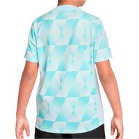 Nike camiseta entrenamiento niño NORUEGA 25 Y NK DF ACDPR SS TOP PM vista trasera