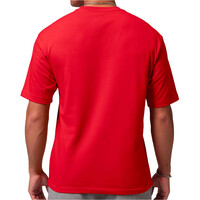 Nike camiseta manga corta hombre M J JUMPMAN SS LBR TEE 2 vista trasera